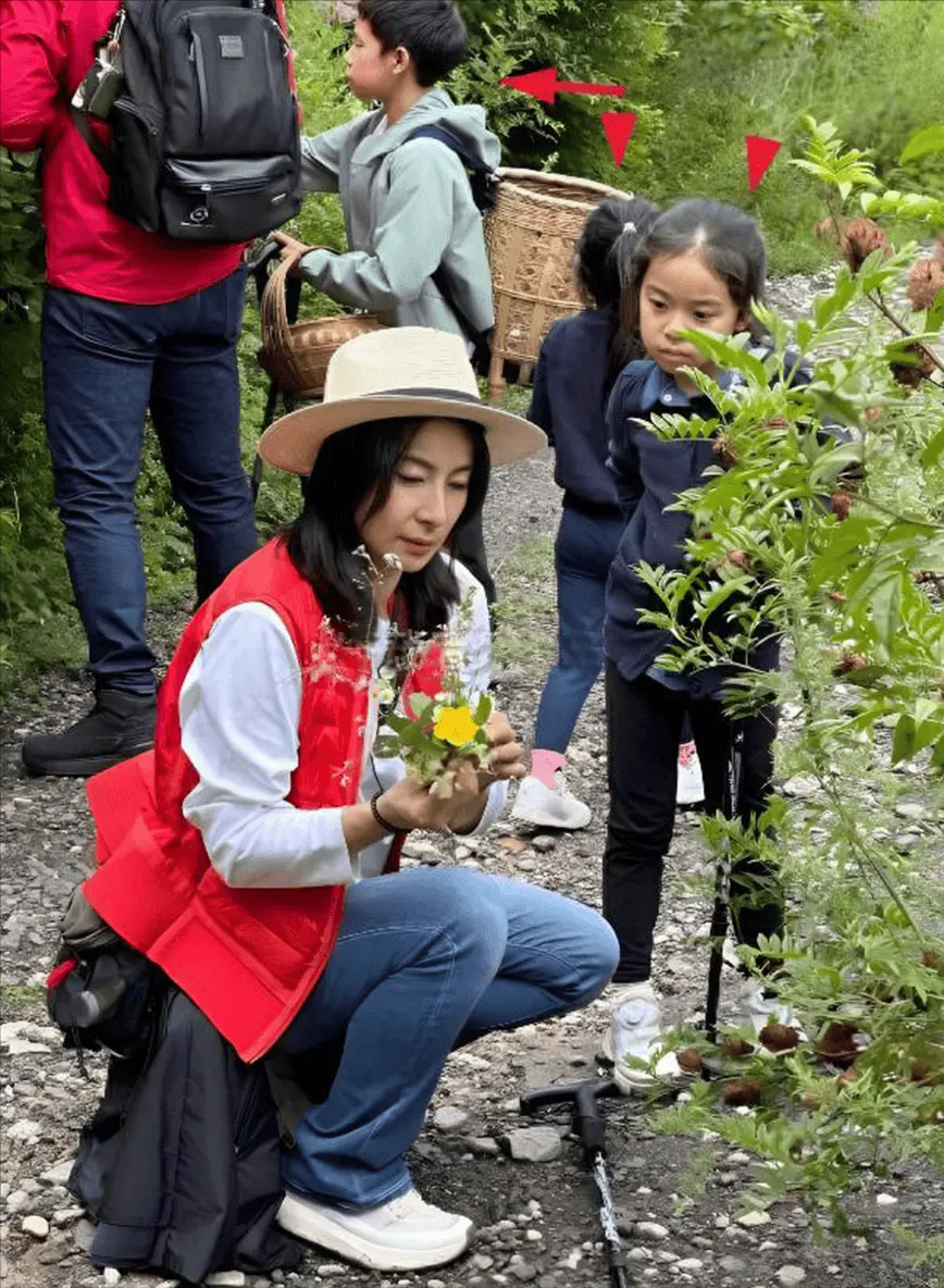 朱玲玲两嫁百亿豪门，霍震霆4父子却依然重视她，只因做对了两点封面图