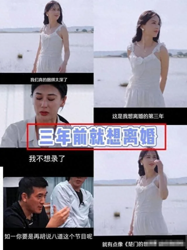 杨子前妻陶虹：离婚不离家，黄圣依是我闺蜜，她坐月子是我照顾的封面图